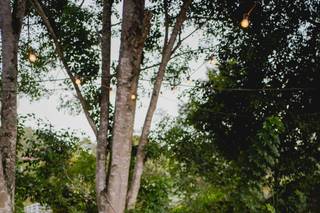 Chácara da Collina - 10