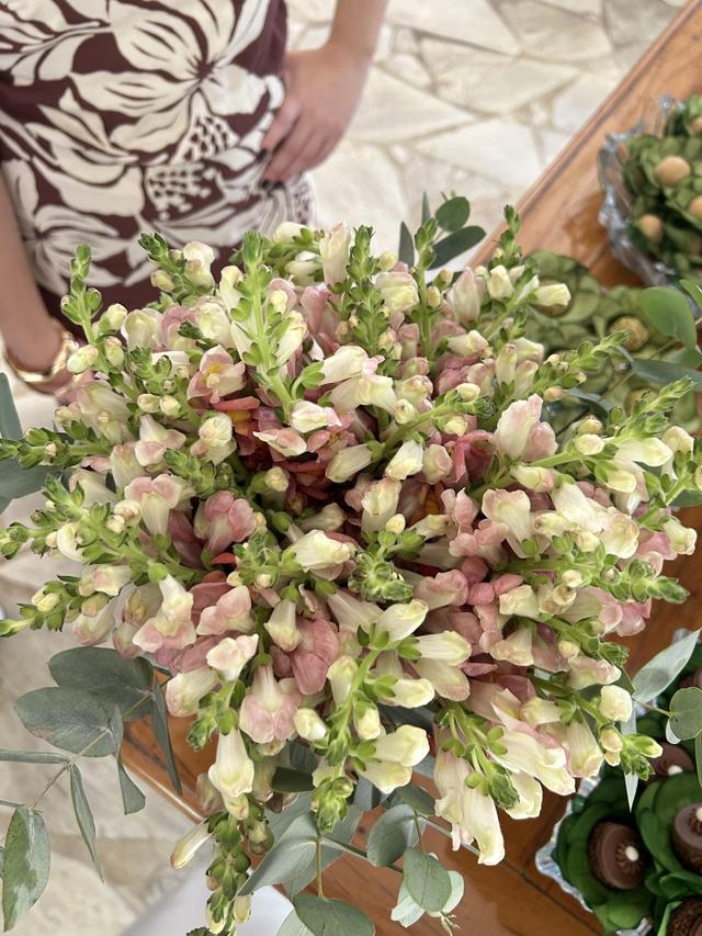 Flor Brasileira - 2