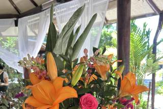 Flor Brasileira - 7