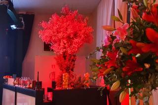 Bena Eventos Iluminação - 16