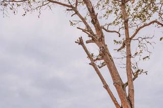 Buffet Doce Arte - 9