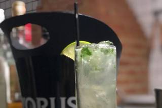 Maximus Art Cocktail - 4
