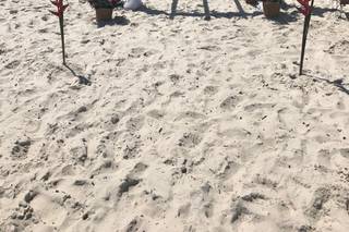 Muniz Sonorização - 8