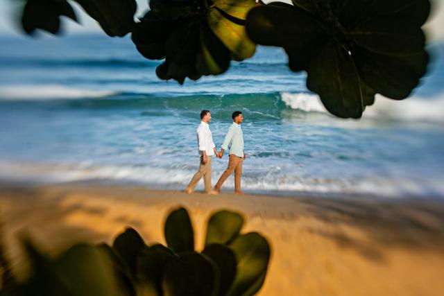 Olliotti Fotografia - 1