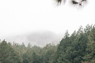 Harvest Photographic - 6