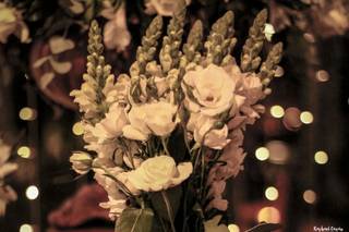 Floricultura Bella Flor - 13