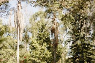 Monte Alegre - 4
