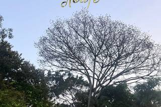 Grupo Musical Asafe - 9