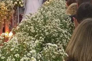 Cantinho das Flores - 17