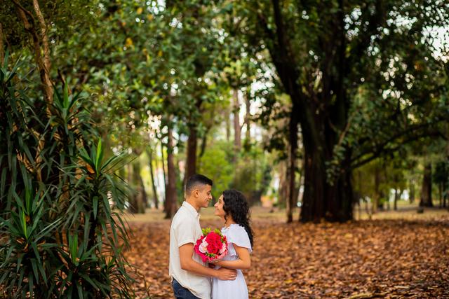 Saraiva FotoArt - 1
