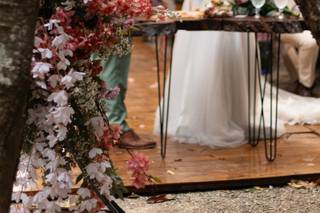 Império da Mata - 22