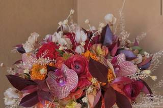 Neiva Design Em Buques - 7