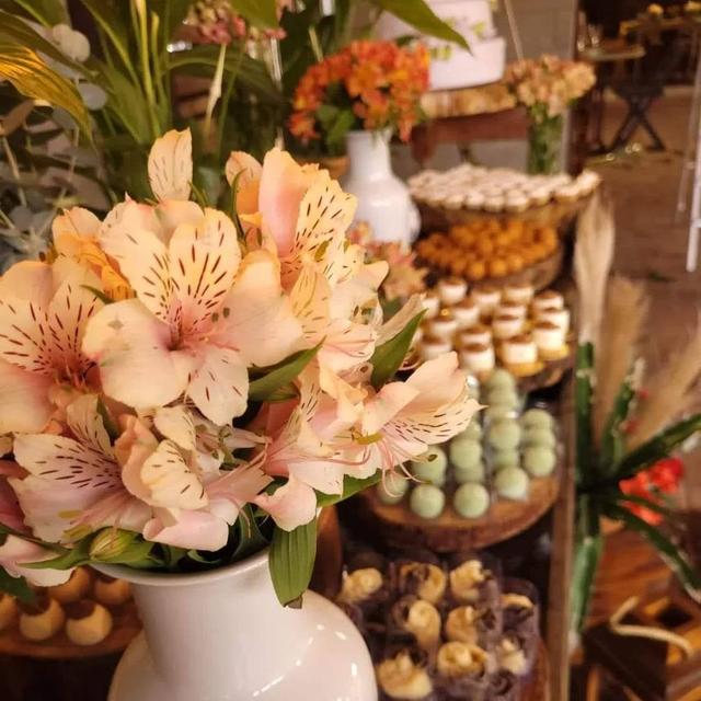 A&A Produções de Eventos - 1