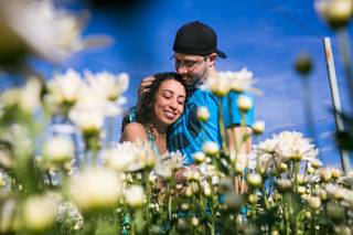 Moment- Fotografia e Filmes - 14