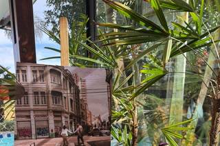 Bruna Stachiw - Produção de eventos - 9