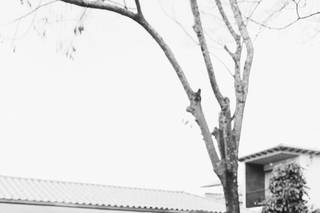 Su Lopes Fotografia - 6