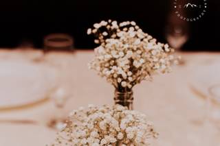 Vaninis Eventos - 8
