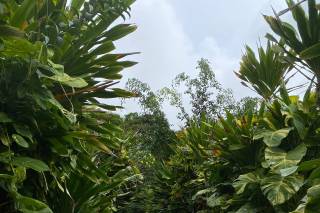 Quinta da Aldeia - 6