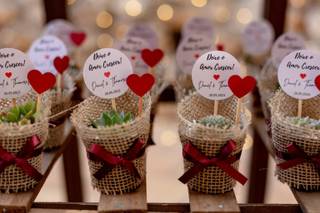 Suculentas Cultive o Amor - 23