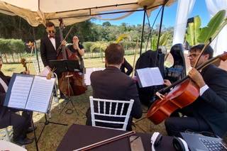 Musical Preludio Eventos - 7