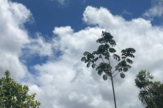 Sitio Verde Flor - 10