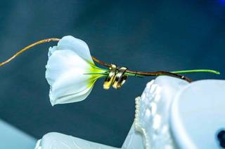 Mauricio Taboni Photography - 5