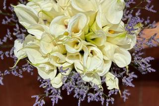 Douglas Decor - 6
