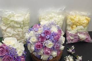 Santa Roza Flores - 13