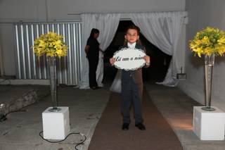 Toque de Festa Decorações - 7