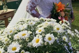 Estância Ilha da Madeira - 5