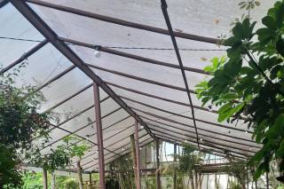 Canto das Laranjeiras Beach Club Guaiúba - 13