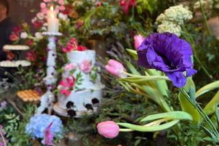 Celeiro Quintal - 10