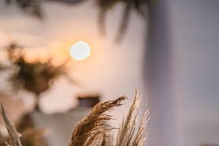 Silvia Flores e Noivas - 9