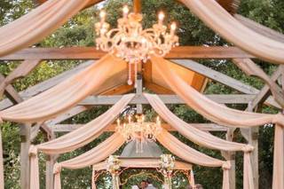 Catto Party Design - 1