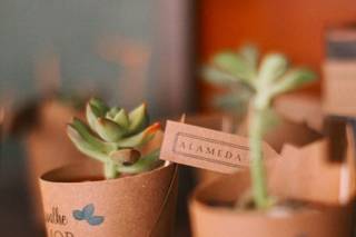 Alameda 7 - 6