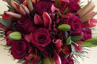 Acácia Flores Floricultura - 6