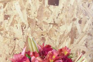 Acácia Flores Floricultura - 8