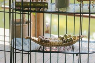 Terracota Decor - 28