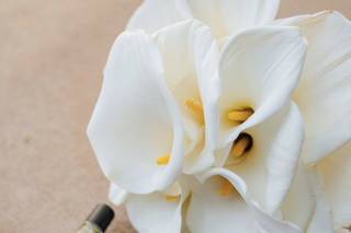 Andre Art Floral - 6