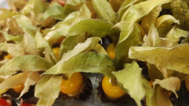 Kale Doces - 1
