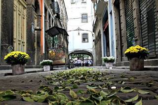 Maria das Artes - 8