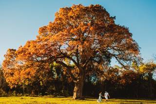 Ricardo Gomes Fotografias - 19