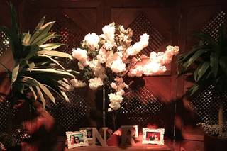 Sânia Rossi Decorações - 26