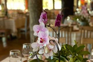 Duda Andrade Eventos - 10