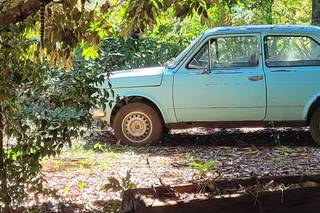 Espaço Florativa - 5