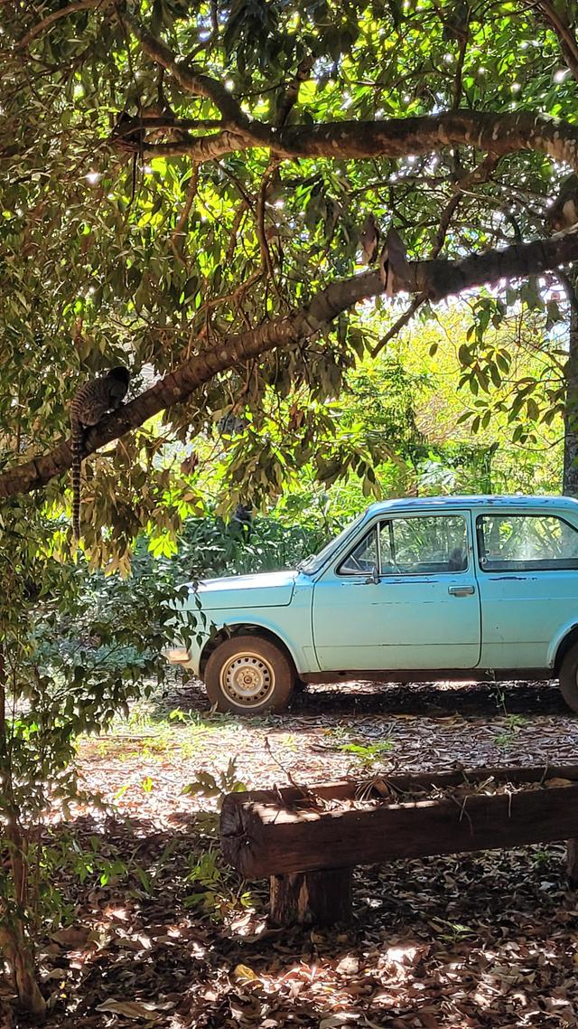 Espaço Florativa - 2