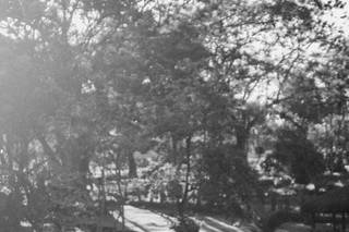 Eden Garden - 7