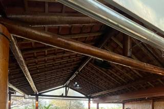 Copo de Leite Assessoria - 13