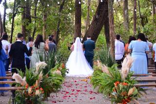 Império da Mata - 17