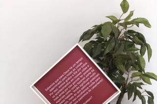 Ná Vizioli - 16